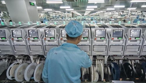 回國非“接盤” 理性看待海外歸國現象